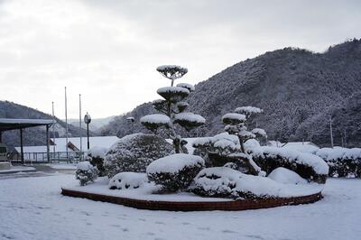 中庭の雪景色